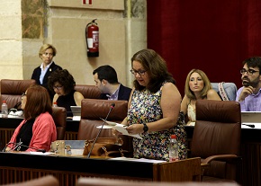  La diputada no adscrita, Mara del Carmen Prieto, formula una pregunta en el Pleno