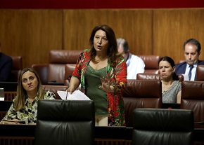 Carmen Crespo, portavoz del Grupo Popular, se dirige al vicepresidente de la Junta de Andaluca