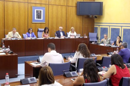 La Comisin de Justicia e Interior asiste a la comparecencia de la titular del ramo sobre las actuaciones del Gobierno andaluz en materia de inmigracin 