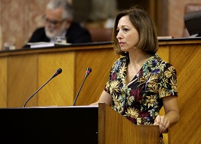  Patricia Navarro, del Grupo Popular, presenta una proposicin no de ley 