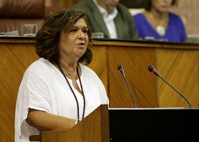  La diputada del Grupo Popular Carmen Cspedes interviene ante el Pleno