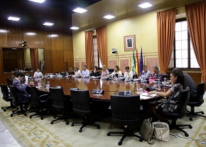  La Comisin de Igualdad y Polticas Sociales asiste a comparecencias en relacin al proyecto de Ley de Juventud de Andaluca