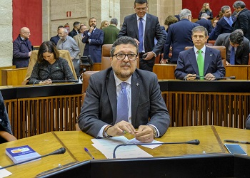 El portavoz del Grupo Vox, Francisco Serrano, al inicio del Pleno de investidura 