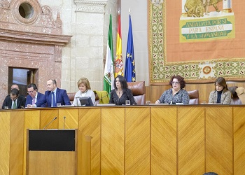  La presidenta del Parlamento, Marta Bosquet, abre la sesin de investidura