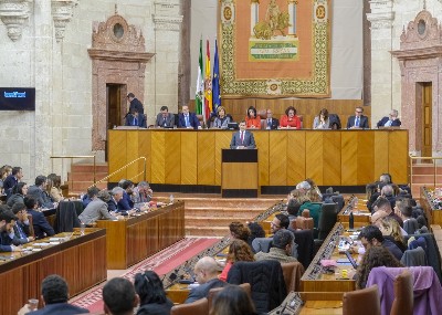  El Pleno del Parlamento, durante el debate de investidura 