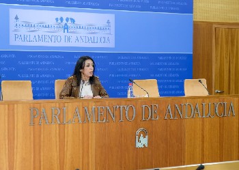 La presidenta del Parlamento, Marta Bosquet, comparece ante los medios de comunicacin tras la reunin de la Mesa