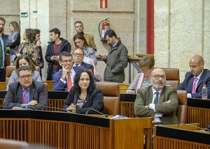  Diputados del Grupo parlamentario Vox en Andaluca
