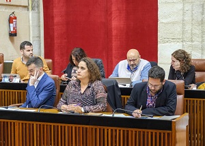  El portavoz y los portavoces adjuntos del Grupo Adelante Andaluca, en el Pleno