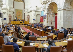  El Pleno del Parlamento, durante la votacin para la eleccin de senadores en representacin de la Comunidad Autnoma