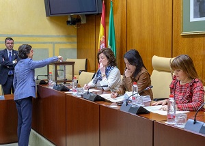  La diputada Rosa Aguilar emite un voto para la eleccin de los miembros de la Mesa de la Comisin de control de la RTVA y sus Sociedades Filiales