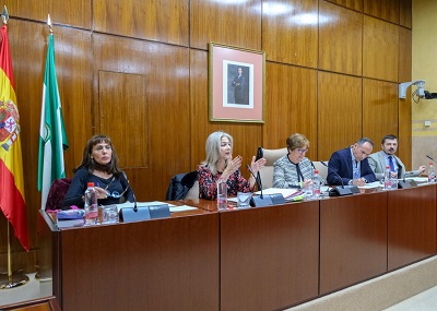  La Mesa de la Comisin de Cultura y Patrimonio Histrico, durante la comparecencia de la consejera del ramo, Patricia del Pozo