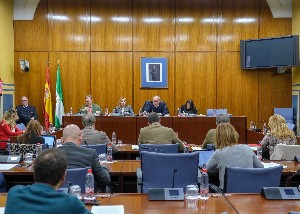  La Comisin de Fomento, Infraestructuras y Ordenacin del Territorio, durante la comparecencia del consejera del ramo, Mara Francisca Carazo