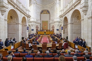  El Pleno del Parlamento, durante el discurso institucional de la presidenta con motivo del Da de Andaluca