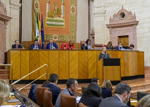  Mara Francisca Carazo, consejera de Fomento, Infraestructuras y Ordenacin del Territorio, comparece ante el Pleno