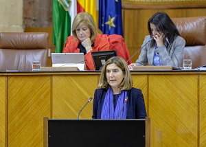 Roco Blanco, consejera de Empleo, Formacin y Trabajo Autnomo, durante su comparecencia ante el Pleno del Parlamento 