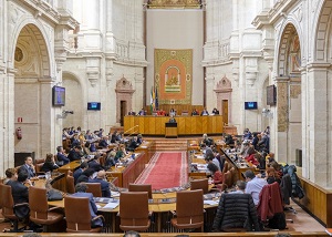 El Pleno del Parlamento, durante una de las comparecencias de la sesin 