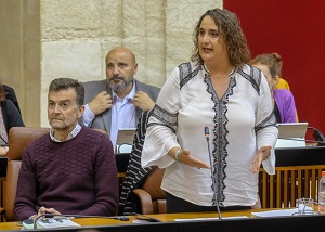  ngela Aguilera, portavoz del Grupo Adelante Andaluca, formula una pregunta al presidente de la Junta de Andaluca