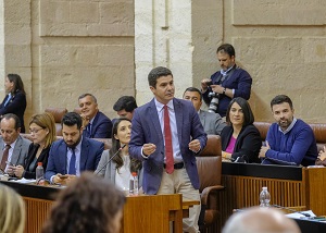  El portavoz del Grupo parlamentario Ciudadanos, Sergio Romero, se dirige al presidente de la Junta de Andaluca