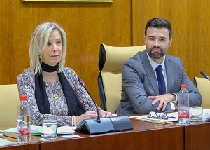  La Fiscal Superior de Andaluca, Ana Trrago, presenta la Memoria Anual de2017 de la Fiscala ante la Comisin de Turismo, Regeneracin, Administracin Local y Justicia