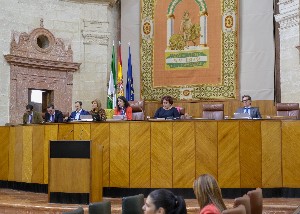  La presidenta del Parlamento, Marta Bosquet, abre la sesin plenaria
