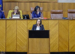  La diputada del Grupo parlamentario Vox ngela Mulas interviene ante el Pleno