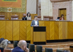  Antonio Mallo, portavoz del Grupo parlamentario Adelante Andaluca, presenta al Pleno una mocin relativa a poltica en materia de transporte y movilidad