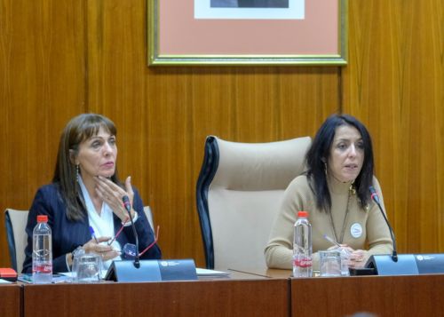  Marta Bosquet preside la sesin constitutiva de la Comisin de Discapacidad en Andaluca