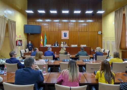  Sesin constitutiva de la Comisin de Discapacidad en Andaluca