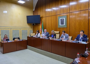  La Mesa de la Comisin de Control de la RTVA, durante la comparecencia del subdirector general del ente, Joaqun Durn