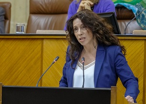  Roco Ruiz, consejera de Igualdad, Polticas Sociales y Conciliacin, comparece ante el Pleno del Parlamento