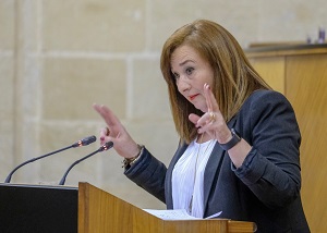  Soledad Prez, del Grupo parlamentario Socialista