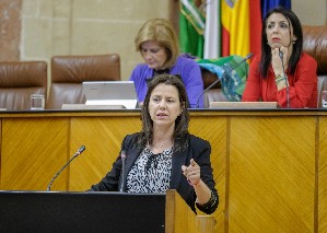 Ana Vanessa Garca, del Grupo parlamentario Popular 