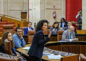  Maribel Mora, del Grupo Adelante Andaluca, formula una pregunta en la sesin de control al Gobierno