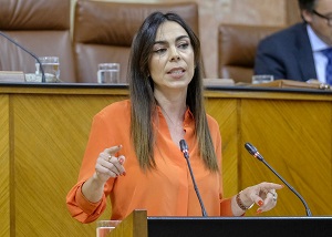  Teresa Pardo, del Grupo Ciudadanos, defiende una proposicin no de ley sobre custodia compartida