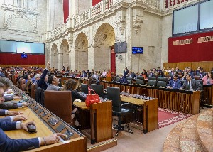  El Pleno del Parlamento, en una de las votaciones