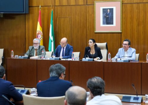 Bajo la presidencia de Marta Bosquet, ha quedado constituida la Comisin sobre Polticas para la Proteccin de la Infancia en Andaluca