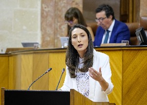  Mnica Moreno, del Grupo parlamentario Ciudadanos