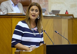  La diputada del Grupo Socialista Sonia Gaya presenta al Pleno una proposicin no de ley de medidas de apoyo a las corporaciones locales andaluzas
