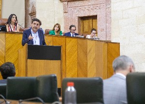  Mario Jimnez, portavoz del Grupo Socialista, se dirige al consejero de Hacienda en el debate de totalidad del proyecto de Ley del Presupuesto para 2019