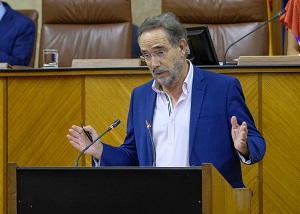   Felipe Lpez, del Grupo parlamentario Socialista, presenta al Pleno una mocin relativa a poltica general en materia de fondos europeos