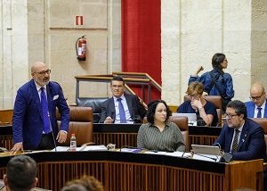  Alejandro Hernndez, portavoz del Grupo parlamentario Vox, se dirige al presidente de la Junta de Andaluca en la sesin de control