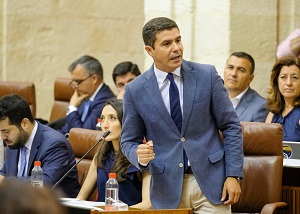  El portavoz del Grupo parlamentario Ciudadanos, Sergio Romero