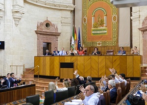  El Pleno, tras la lectura de la Declaracin Institucional con motivo del Da Nacional de las Lenguas de Signos