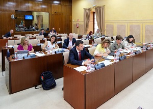  Diputados de la Comisin de Turismo, Regeneracin, Justicia y Administracin Local, en la sesin de hoy