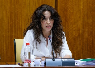  La consejera de Igualdad, Polticas Sociales y Conciliacin, Roco Ruiz, comparece ante la Comisin de polticas para la proteccin de la infancia en Andaluca