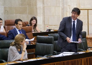  Juan Marn, vicepresidente de la Junta de Andaluca, responde a una pregunta durante la sesin de control al Gobierno