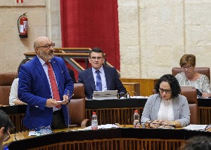  Alejandro Hernndez, portavoz del Grupo parlamentario Vox, se dirige al presidente de la Junta de Andaluca