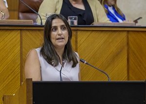 Beatriz Jurado, del Grupo Popular, presenta una proposicin no de ley ante el Pleno