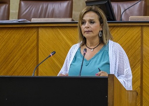  La diputada del Grupo Adelante Andaluca Mara Gracia Gonzlez interviene ante el Pleno en defensa de una proposicin no de ley