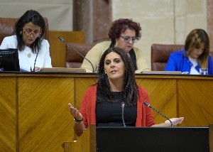  La diputada del Grupo Socialista ngeles Frriz defiende una proposicin no de ley sobre relativa a retroceso democrtico en la Comunidad Autnoma de Andaluca